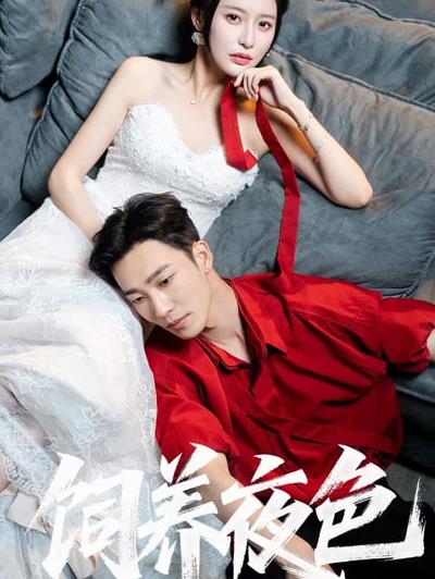 饲养夜色(全集)