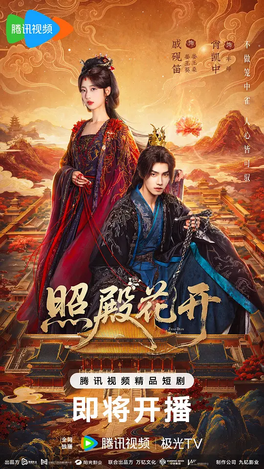 照殿花开(全集)